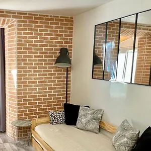 Appartement Lion's - 2 Minute Walk From Palais Des Festivals&beaches, Cannes